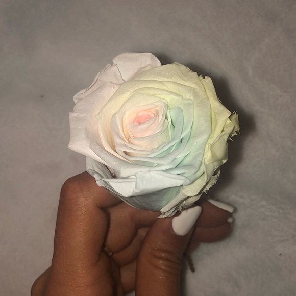 Forever Rose - Picture 1 of 7